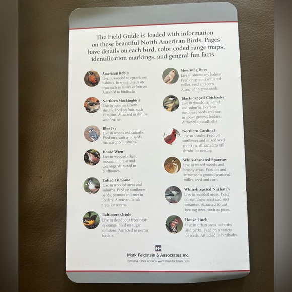 Singing Bird 🦜Clock - 25th Anniversary Edition✨ - Picture 13 of 17